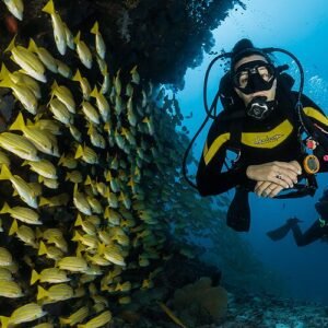 Dive Master CM