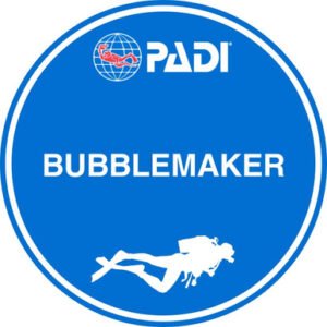 Bubblemaker with Certification
