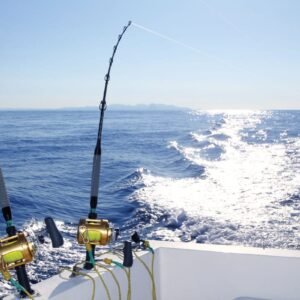 Deep Sea Fishing