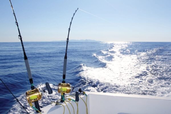 Deep Sea Fishing