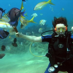 PADI Open Water Diver