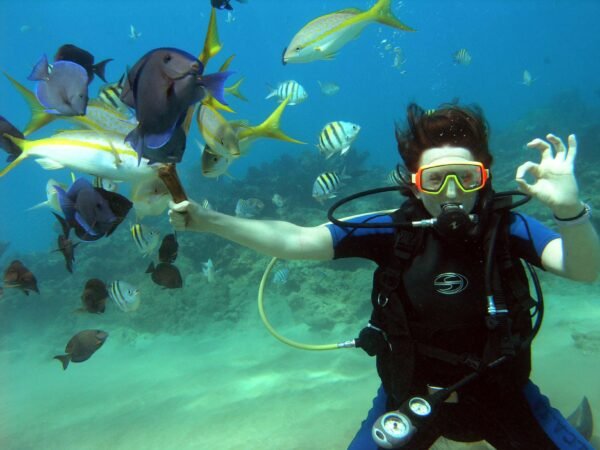 PADI Open Water Diver