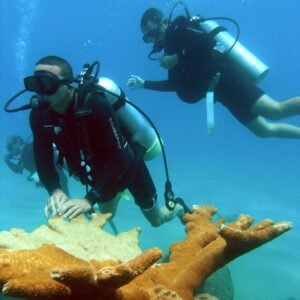 4 Dives Package [2 Days]
