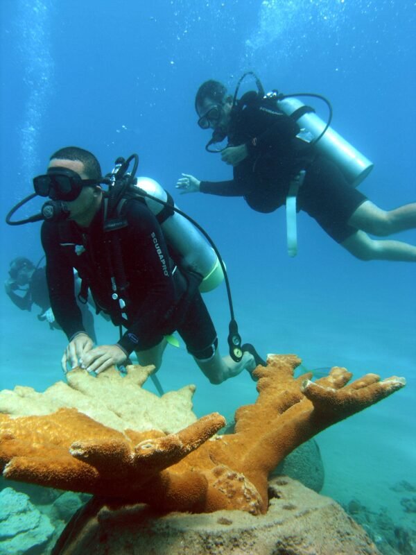 4 Dives Package [2 Days]