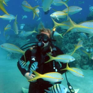 PADI Scuba Diver