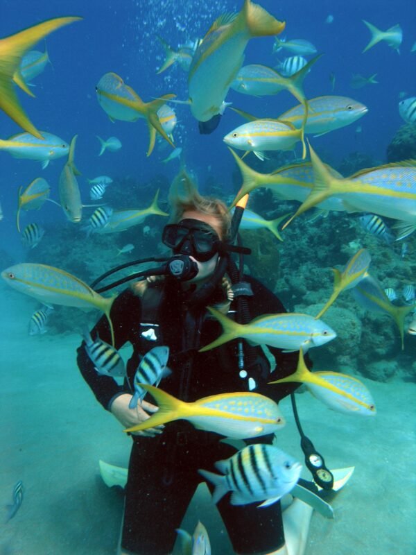 PADI Scuba Diver