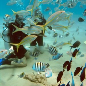 PADI Adventure Diver