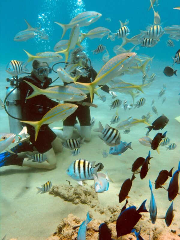 PADI Adventure Diver