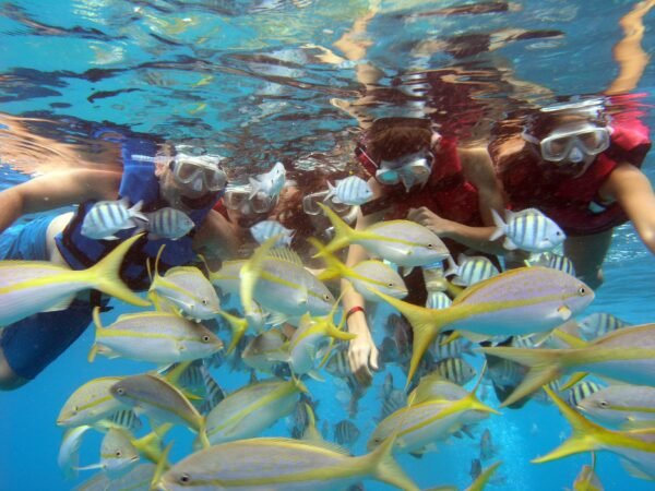 Snorkel Adult CM