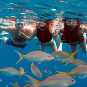 Snorkel Children (Until 12 years )/ Passenger