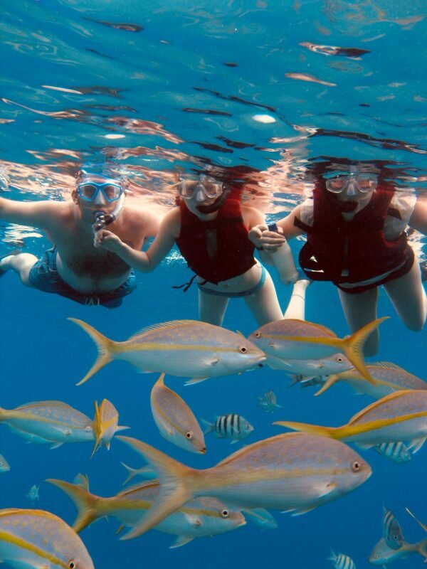 Snorkel Children (Until 12 years )/ Passenger