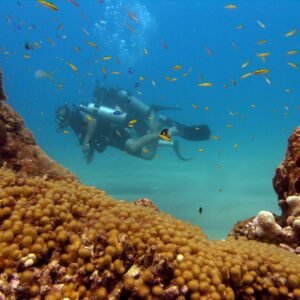 4 Dives Package [2 Days]