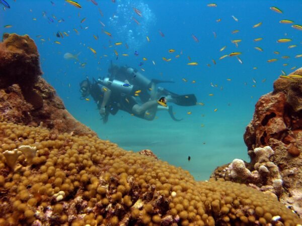 4 Dives Package [2 Days]